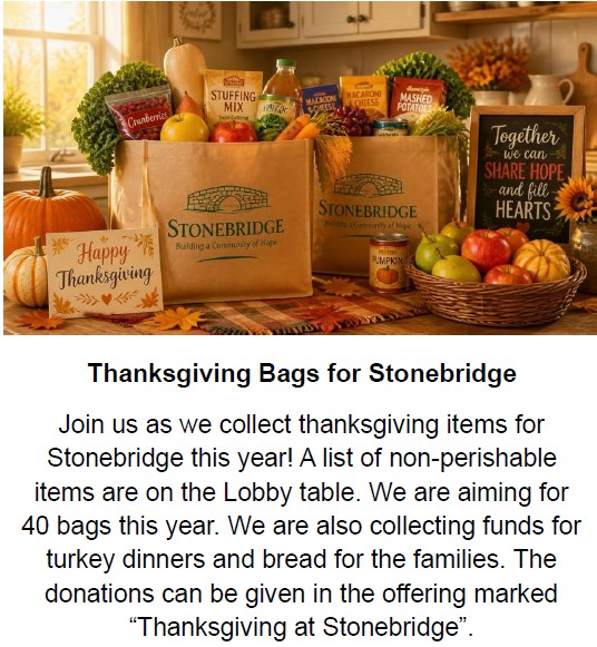 thanksgiving bags